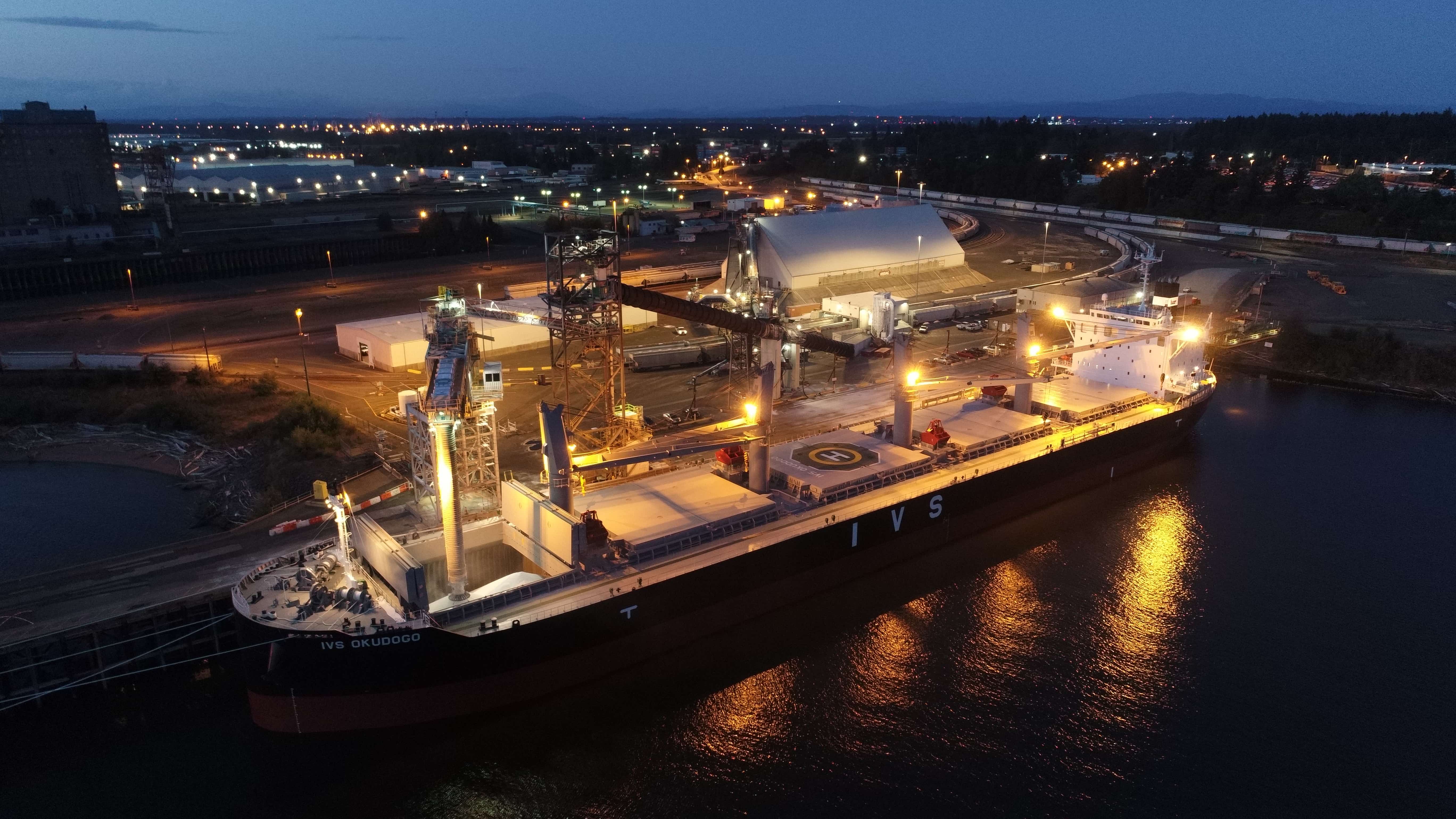 Port landscape view with container ship and plant at night
