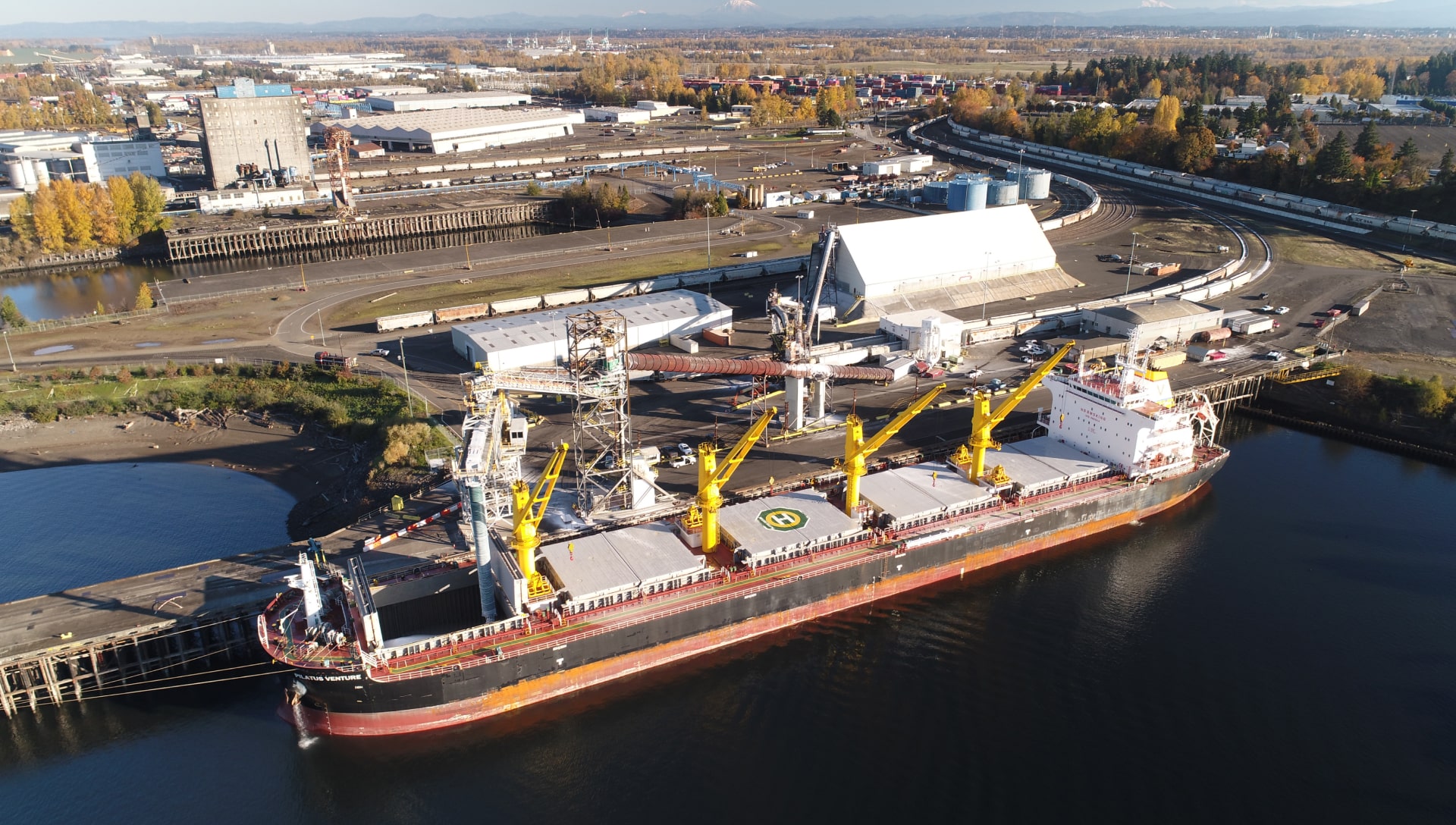 Port landscape view with container ship and plant in background